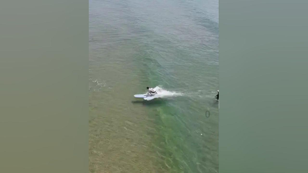 黄金矿工海底版